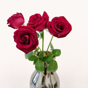 卡罗拉红玫瑰20元一束（4支）